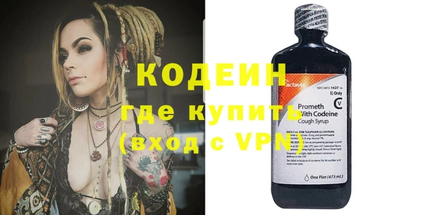 индика Верхний Тагил