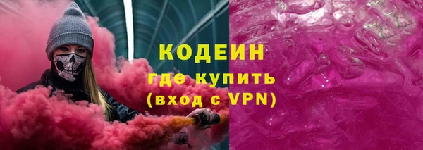 индика Верхний Тагил