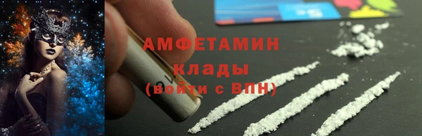 индика Верхний Тагил
