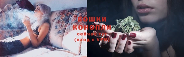 индика Верхний Тагил