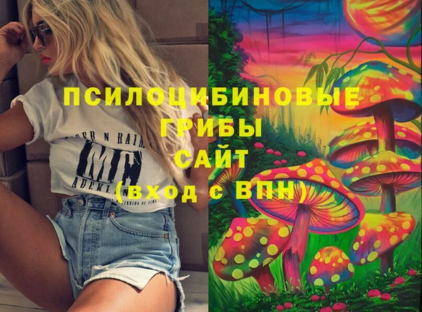 индика Верхний Тагил