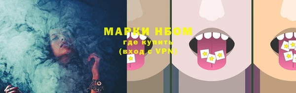 индика Верхний Тагил