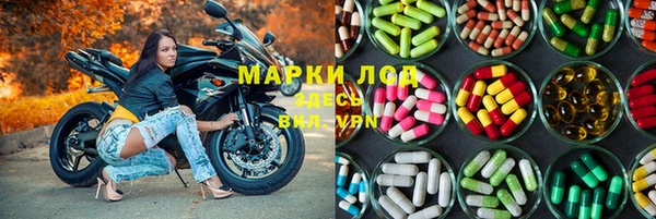индика Верхний Тагил