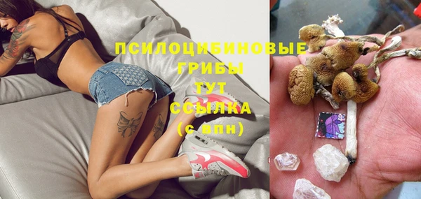индика Верхний Тагил