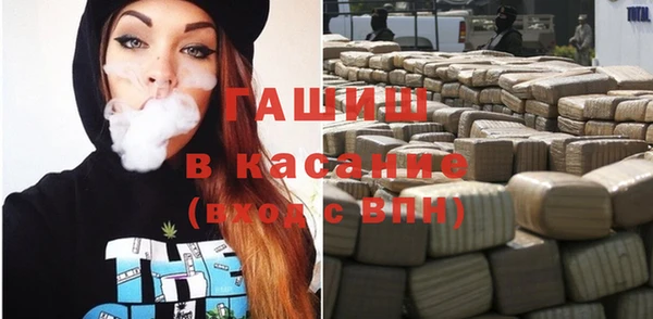 индика Верхний Тагил
