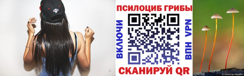 купить наркоту  Северск  blacksprut рабочий сайт  Псилоцибиновые грибы Psilocybe 