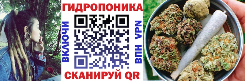 Марихуана конопля Северск